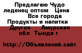 Предлагаю Чудо леденец оптом › Цена ­ 200 - Все города Продукты и напитки » Другое   . Амурская обл.,Тында г.